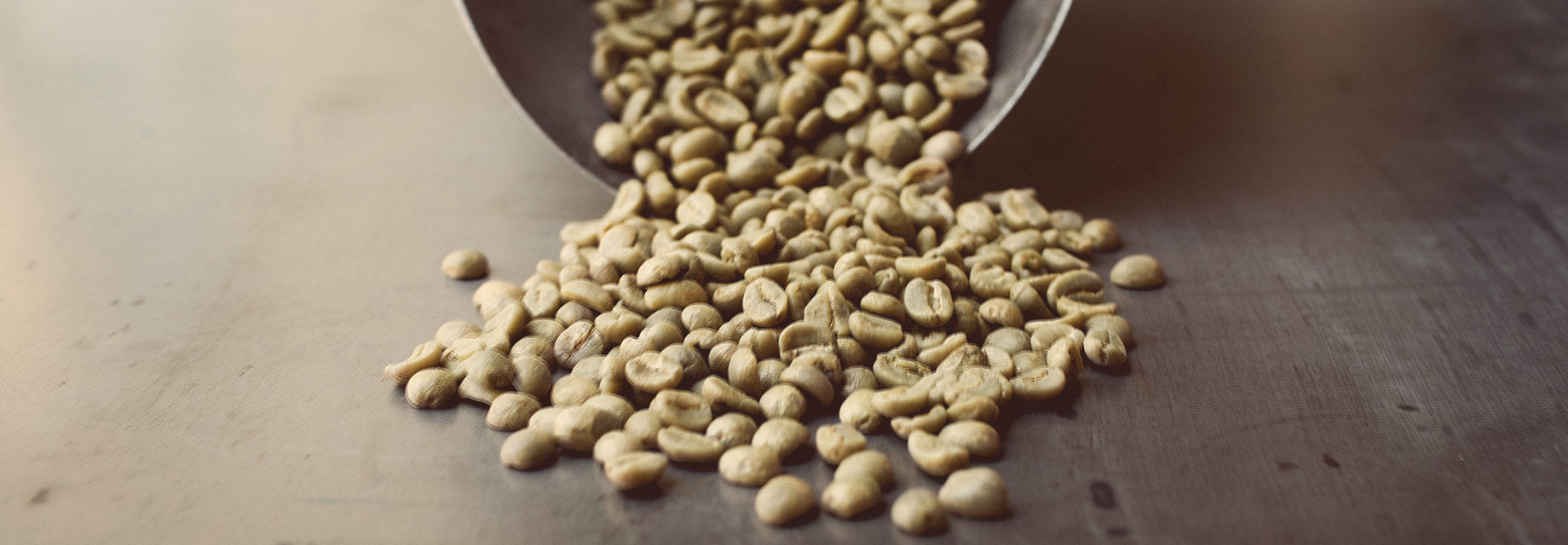 Header image for Artis Coffee